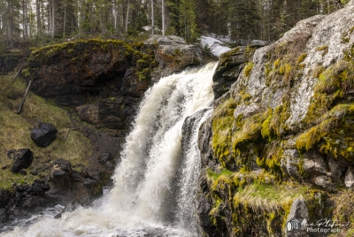 Moose Falls YNP May 2025